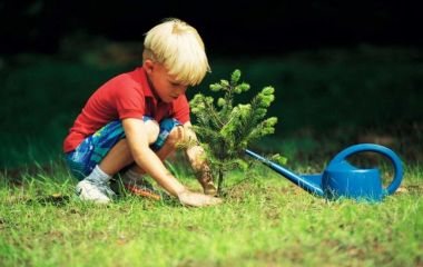 Як пробудити інтерес до природи у міських дітей?